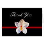 Thank you Acknowledgement Card cards