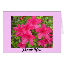 Thank You Azaleas Greeting Card