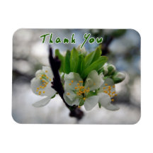 Thank you Blossom Flexible Magnet