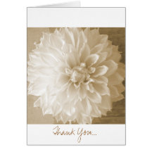 Thank You... Cards