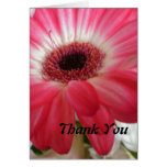 Thank You Flower Card