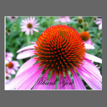 Thank You flower postcard postcards