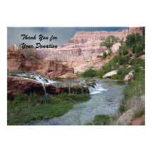 Thank You for the Donation, Unspoiled Waterfalls Custom Invitation