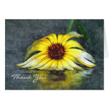 Thank You For Your Support Daisy In Rain Cards