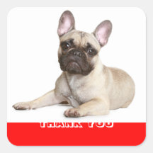Thank You French Bulldog Puppy Dog  Sticker
