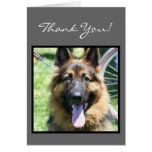 Thank You German Shepherd greeting card