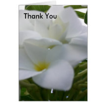 Thank You Greeting Card