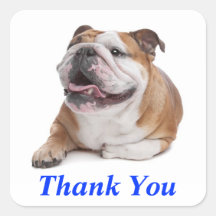 Thank You Happy Bulldog Puppy Dog Greeting Sticker