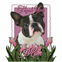 Thank You - Pink Tulips - Boston Terrier Photo Sculpture