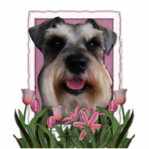Thank You - Pink Tulips - Schnauzer Photo Cut Out