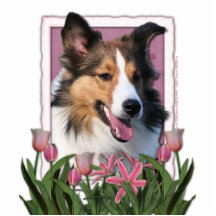 Thank You - Pink Tulips - Sheltie Acrylic Cut Outs