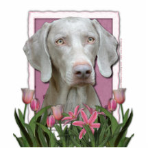 Thank You - Pink Tulips - Weimeraner - Golden Eyes Photo Cut Out
