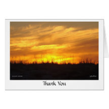 Thank You - scusset beach Greeting Cards