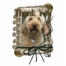 Thank You - Stone Paws - GoldenDoodle Photo Cut Out