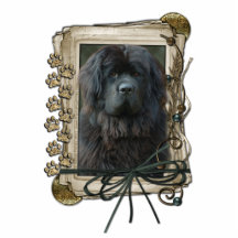 Thank You - Stone Paws - Newfoundland Acrylic Cut Outs
