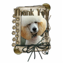 Thank You - Stone Paws - Poodle - Apricot Cut Out