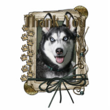 Thank You - Stone Paws - Siberian Husky Photo Cut Out