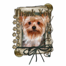 Thank You - Stone Paws - Yorkshire Terrier Photo Sculptures