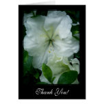 Thank you! White Azalea Card