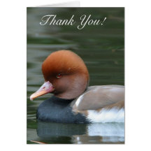 Thank You Wild Duck greeting card