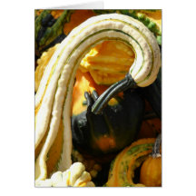 Thanksgiving For A Friend, Gourds Card