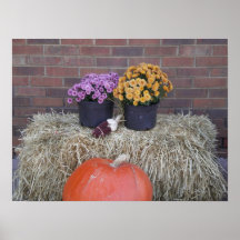 Thanksgiving Harvest Fall Scene Posters