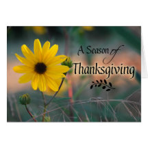Thanksgiving Sunflower Card