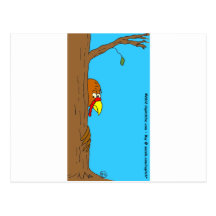 Thanksgiving Turkey Hiding Behind Tree Post Card
