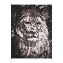 The African Lioness Stretched Canvas Print