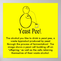 The Alcohol (Beer) You Drink Is Yeast Pee! Print