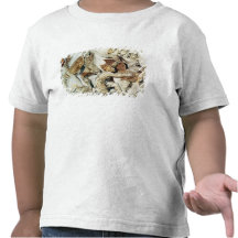 The Alexander Sarcophagus Tee Shirts
