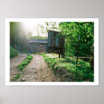The Barn Print