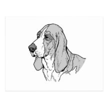 THE BASSET HOUND POST CARDS
