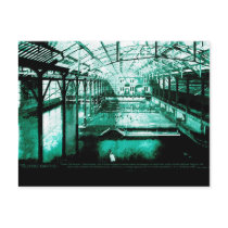 The Baths - Postcard