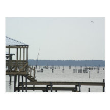 "the bay" postcard