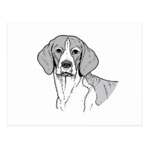 THE BEAGLE POST CARDS