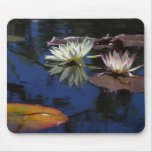 The Beauty of Mother Nature Mouse Pad