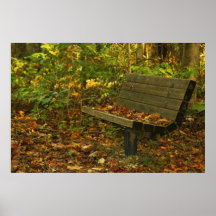 The Bench Print