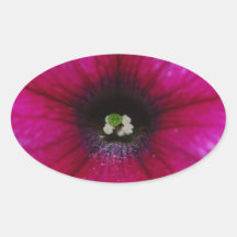 the big flower stickers