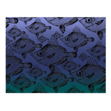 The Boar Fish - Postcard