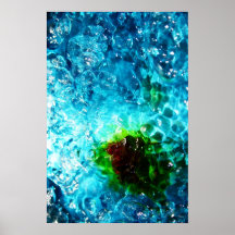 the boil exp. 002 print