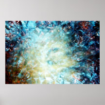 the boil exp. 003 print