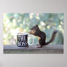 The Boss Squirrel Print