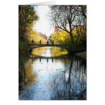 The Bridge Card