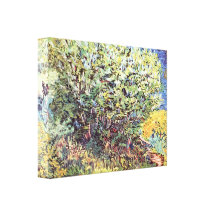 The bush by Vincent van Gogh Stretched Canvas Print