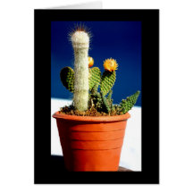 The Cactus Greeting Card