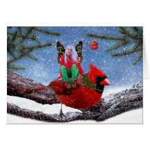 The Cardinal & The Christmas Fairy