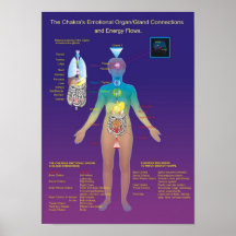 The Chakra Organ / Gland and Energy Flow Print