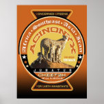the cheetah poster