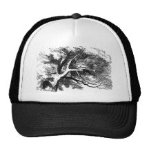 The cheshire cat trucker hat